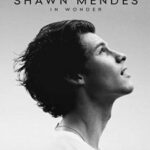 دانلود فیلم Shawn Mendes: In Wonder 2020 با لینک مستقیم و رایگان