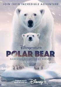 دانلود رایگان مستند polar bear 2022