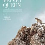 دانلود فیلم ملکه مخملی The Velvet Queen 2021