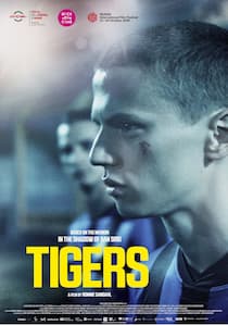 دانلود فیلم ببرها Tigers 2020 زیرنویس فارسی چسبیده