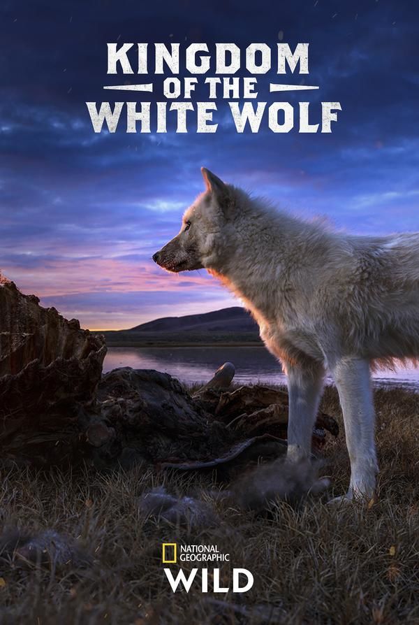 دانلود مستند 2023 Kingdom of the White Wolf با لینک مستقیم
